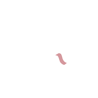 Nurva Logo